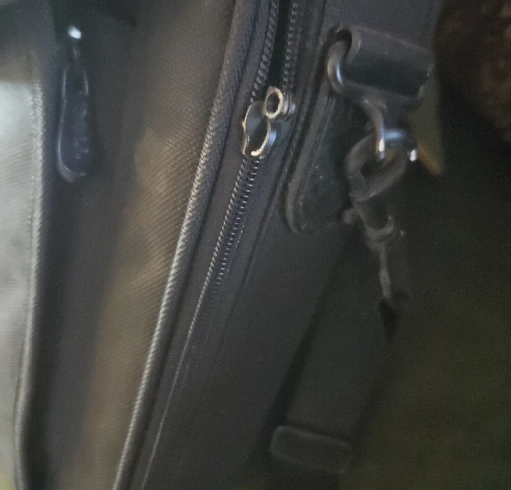 Dell Black Laptop Bag with Blue Logo and Padded Shoulder Strap
